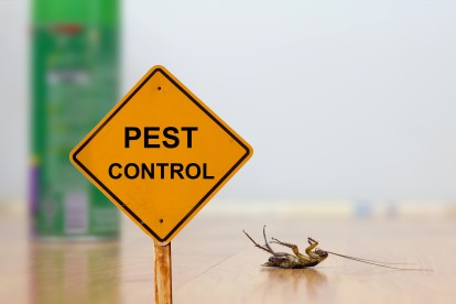 Pest Contol in Norwood Green, UB2. Call Now 020 8166 9746